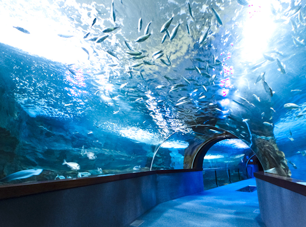 El Aquarium de San Sebastián